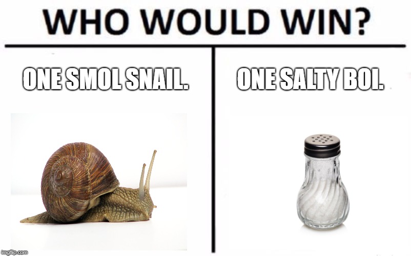 Who Would Win? Meme |  ONE SMOL SNAIL. ONE SALTY BOI. | image tagged in memes,who would win | made w/ Imgflip meme maker