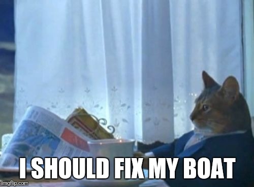 I Should Buy A Boat Cat | I SHOULD FIX MY BOAT | image tagged in memes,i should buy a boat cat | made w/ Imgflip meme maker