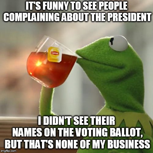 But That's None Of My Business | IT'S FUNNY TO SEE PEOPLE COMPLAINING ABOUT THE PRESIDENT; I DIDN'T SEE THEIR NAMES ON THE VOTING BALLOT, BUT THAT'S NONE OF MY BUSINESS | image tagged in memes,but thats none of my business,kermit the frog | made w/ Imgflip meme maker