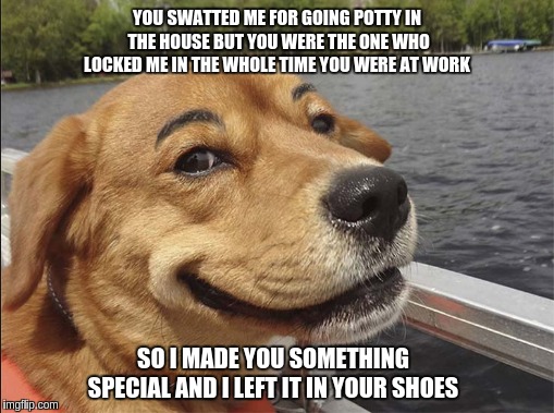 Vengeful dog | YOU SWATTED ME FOR GOING POTTY IN THE HOUSE BUT YOU WERE THE ONE WHO LOCKED ME IN THE WHOLE TIME YOU WERE AT WORK; SO I MADE YOU SOMETHING SPECIAL AND I LEFT IT IN YOUR SHOES | image tagged in funny memes | made w/ Imgflip meme maker