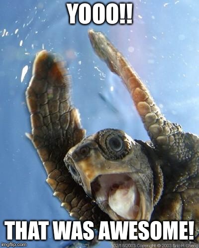 Happy Turtle | YOOO!! THAT WAS AWESOME! | image tagged in happy turtle | made w/ Imgflip meme maker
