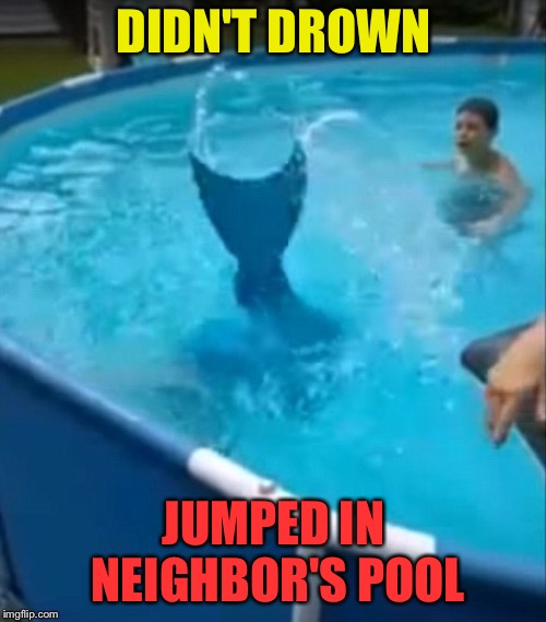 DIDN'T DROWN JUMPED IN NEIGHBOR'S POOL | made w/ Imgflip meme maker