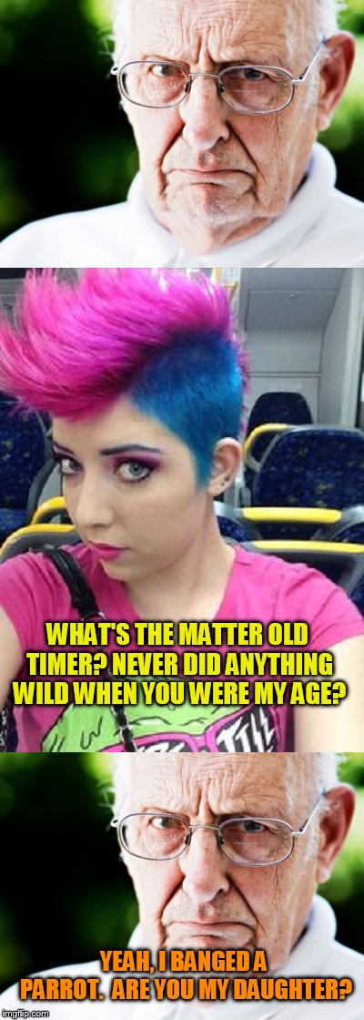 Grumpy old man indeed! | WHAT'S THE MATTER OLD TIMER? NEVER DID ANYTHING WILD WHEN YOU WERE MY AGE? YEAH, I BANGED A PARROT.  ARE YOU MY DAUGHTER? | image tagged in parrot,grumpy old men | made w/ Imgflip meme maker