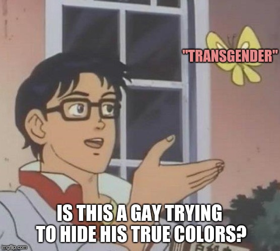 Dont hurt me blues, i have the right to an opinion. | "TRANSGENDER"; IS THIS A GAY TRYING TO HIDE HIS TRUE COLORS? | image tagged in memes,is this a pigeon | made w/ Imgflip meme maker