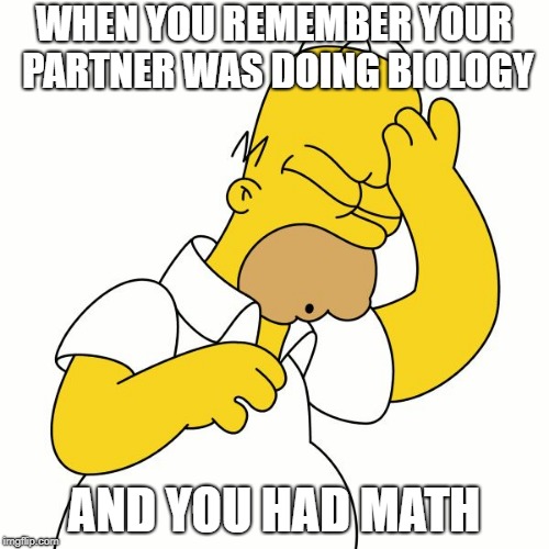 Homer D'Oh | WHEN YOU REMEMBER YOUR PARTNER WAS DOING BIOLOGY AND YOU HAD MATH | image tagged in homer d'oh | made w/ Imgflip meme maker