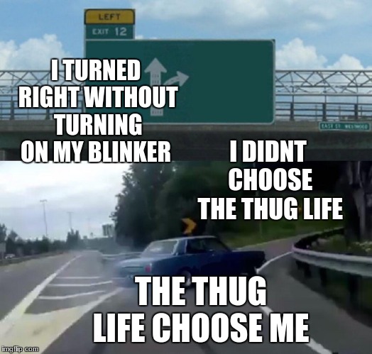 Left Exit 12 Off Ramp Meme | I TURNED RIGHT WITHOUT TURNING ON MY BLINKER; I DIDNT CHOOSE THE THUG LIFE; THE THUG LIFE CHOOSE ME | image tagged in memes,left exit 12 off ramp | made w/ Imgflip meme maker