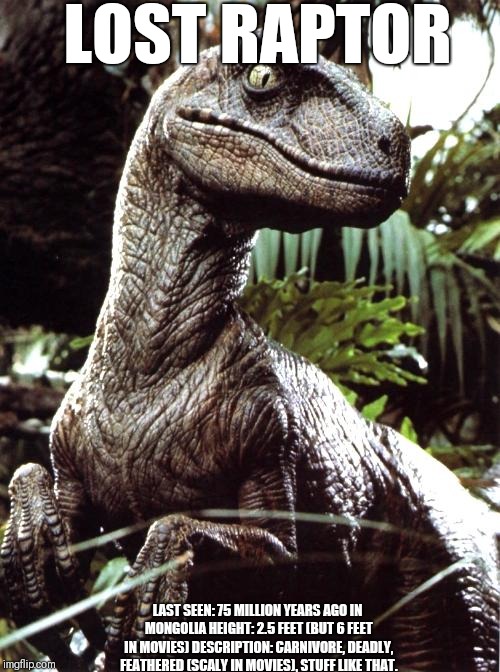 Velociraptor | LOST RAPTOR; LAST SEEN: 75 MILLION YEARS AGO IN MONGOLIA
HEIGHT: 2.5 FEET (BUT 6 FEET IN MOVIES)
DESCRIPTION: CARNIVORE, DEADLY, FEATHERED (SCALY IN MOVIES), STUFF LIKE THAT. | image tagged in velociraptor,scumbag | made w/ Imgflip meme maker