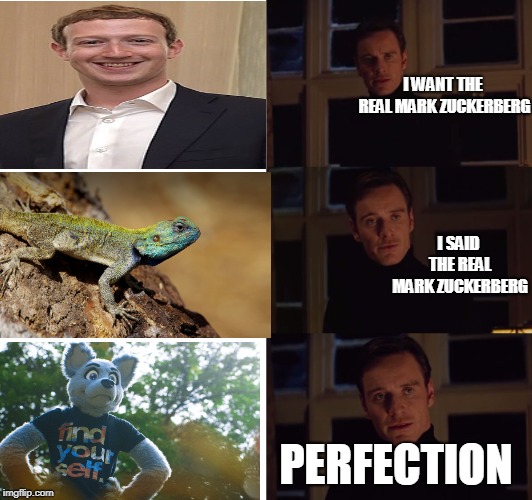 Perfection | I WANT THE REAL MARK ZUCKERBERG; I SAID THE REAL MARK ZUCKERBERG; PERFECTION | image tagged in perfection | made w/ Imgflip meme maker