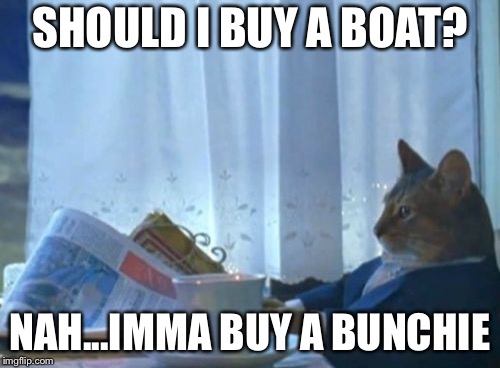 I Should Buy A Boat Cat | SHOULD I BUY A BOAT? NAH...IMMA BUY A BUNCHIE | image tagged in memes,i should buy a boat cat | made w/ Imgflip meme maker