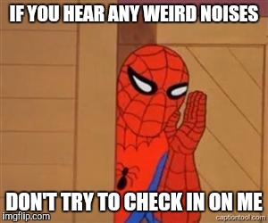 psst spiderman | IF YOU HEAR ANY WEIRD NOISES DON'T TRY TO CHECK IN ON ME | image tagged in psst spiderman | made w/ Imgflip meme maker