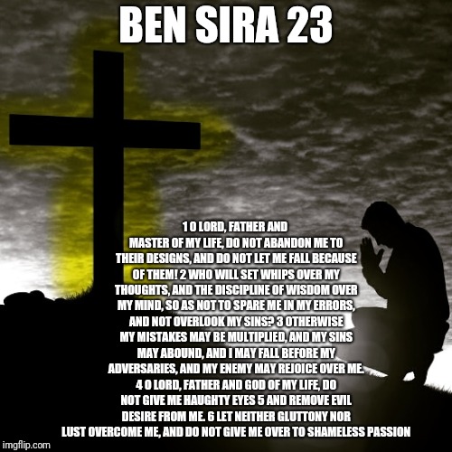 Master of my life | BEN SIRA 23; 1 O LORD, FATHER AND MASTER OF MY LIFE, DO NOT ABANDON ME TO THEIR DESIGNS, AND DO NOT LET ME FALL BECAUSE OF THEM! 2 WHO WILL SET WHIPS OVER MY THOUGHTS, AND THE DISCIPLINE OF WISDOM OVER MY MIND, SO AS NOT TO SPARE ME IN MY ERRORS, AND NOT OVERLOOK MY SINS? 3 OTHERWISE MY MISTAKES MAY BE MULTIPLIED, AND MY SINS MAY ABOUND, AND I MAY FALL BEFORE MY ADVERSARIES, AND MY ENEMY MAY REJOICE OVER ME. 4 O LORD, FATHER AND GOD OF MY LIFE, DO NOT GIVE ME HAUGHTY EYES 5 AND REMOVE EVIL DESIRE FROM ME. 6 LET NEITHER GLUTTONY NOR LUST OVERCOME ME, AND DO NOT GIVE ME OVER TO SHAMELESS PASSION | image tagged in catholic,holy spirit,bible verse,protection,prayer,passion | made w/ Imgflip meme maker