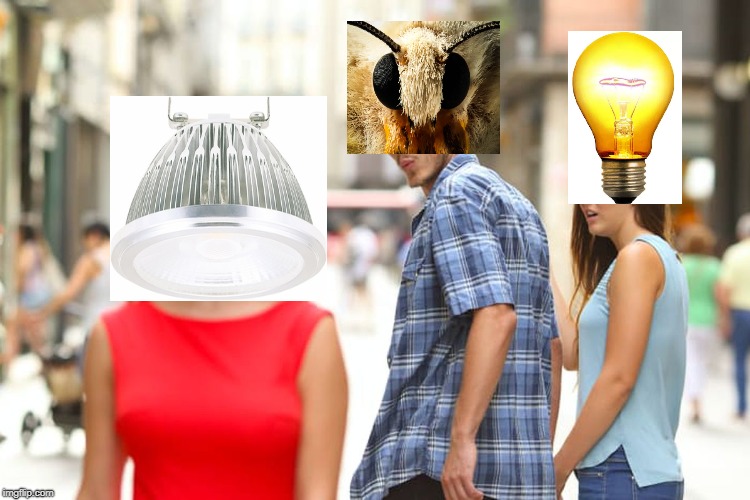 Distracted Boyfriend | image tagged in memes,distracted boyfriend | made w/ Imgflip meme maker
