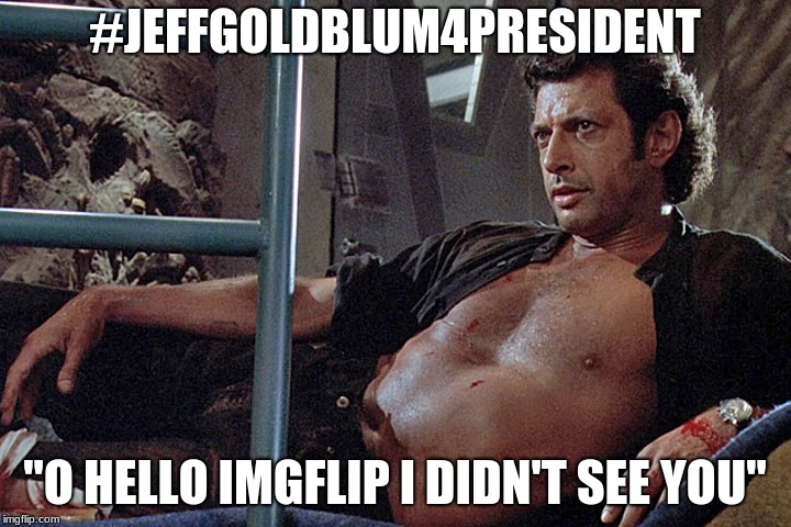 #JeffGoldblum4President | #JEFFGOLDBLUM4PRESIDENT; "O HELLO IMGFLIP I DIDN'T SEE YOU" | image tagged in jeff goldblum jurassic park | made w/ Imgflip meme maker