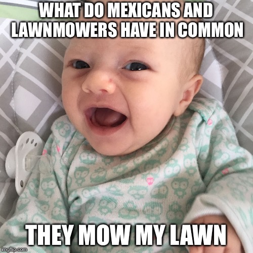 Racist joke 1 | WHAT DO MEXICANS AND LAWNMOWERS HAVE IN COMMON; THEY MOW MY LAWN | image tagged in bad joke baby,memes,racist jokes | made w/ Imgflip meme maker