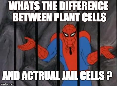 spiderman jail | WHATS THE DIFFERENCE BETWEEN PLANT CELLS; AND ACTRUAL JAIL CELLS ? | image tagged in spiderman jail | made w/ Imgflip meme maker