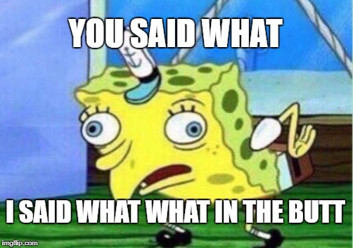 Mocking Spongebob Meme | YOU SAID WHAT; I SAID WHAT WHAT IN THE BUTT | image tagged in memes,mocking spongebob | made w/ Imgflip meme maker