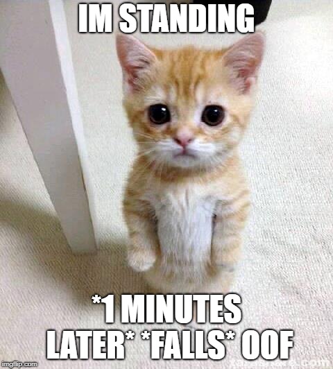 Cute Cat | IM STANDING; *1 MINUTES LATER* *FALLS* OOF | image tagged in memes,cute cat | made w/ Imgflip meme maker