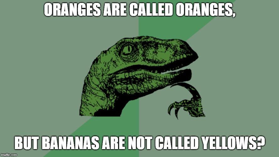 Bananas are not called yellows? | ORANGES ARE CALLED ORANGES, BUT BANANAS ARE NOT CALLED YELLOWS? | image tagged in philosophy dinosaur,oranges,bananas,memes,funny,dumb | made w/ Imgflip meme maker