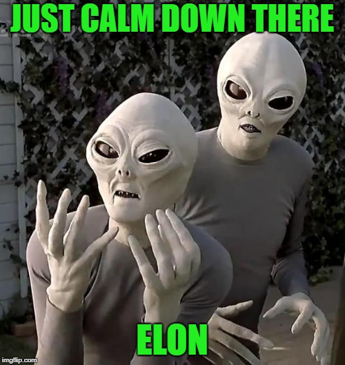 Aliens | JUST CALM DOWN THERE ELON | image tagged in aliens | made w/ Imgflip meme maker