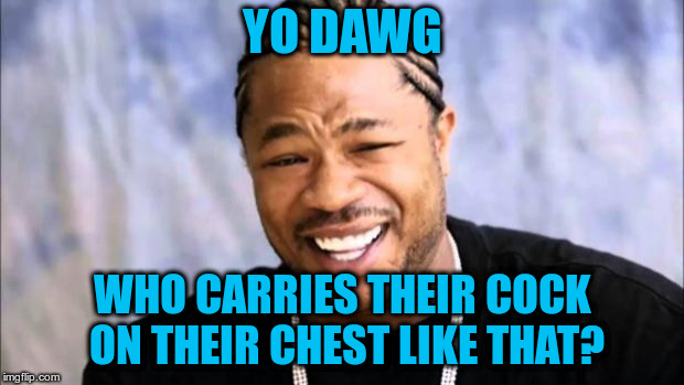 Xhibit | YO DAWG WHO CARRIES THEIR COCK ON THEIR CHEST LIKE THAT? | image tagged in xhibit | made w/ Imgflip meme maker