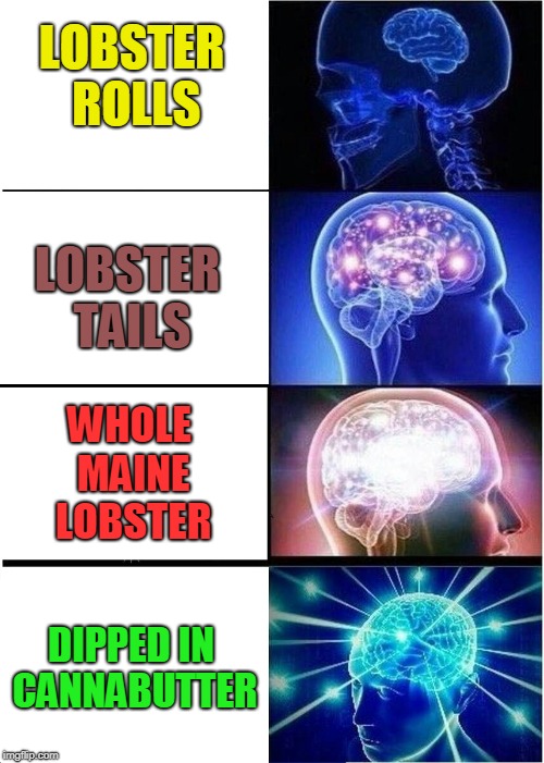 Why in the Heck Did I Not Think of This Before?  | LOBSTER ROLLS; LOBSTER TAILS; WHOLE MAINE LOBSTER; DIPPED IN CANNABUTTER | image tagged in mind expansion,cannabis,weed,lobster,mind blown | made w/ Imgflip meme maker