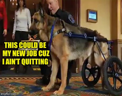 THIS COULD BE MY NEW JOB CUZ I AIN’T QUITTING | made w/ Imgflip meme maker