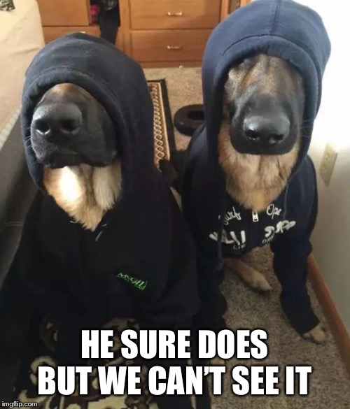 k9 undercover | HE SURE DOES BUT WE CAN’T SEE IT | image tagged in k9 undercover | made w/ Imgflip meme maker
