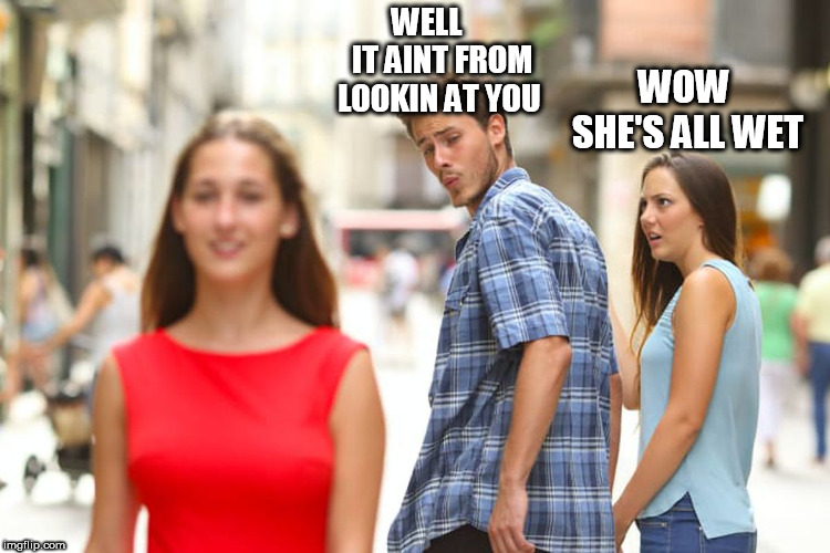 Distracted Boyfriend Meme | WOW SHE'S ALL WET WELL      IT AINT FROM LOOKIN AT YOU | image tagged in memes,distracted boyfriend | made w/ Imgflip meme maker