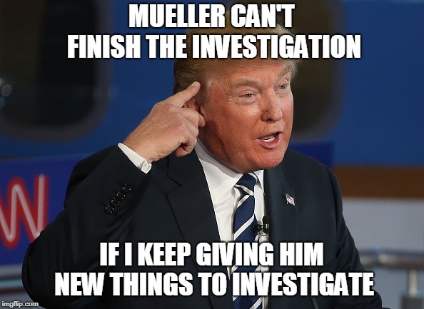 Trump Thinking | MUELLER CAN'T FINISH THE INVESTIGATION; IF I KEEP GIVING HIM NEW THINGS TO INVESTIGATE | image tagged in trump thinking | made w/ Imgflip meme maker