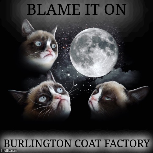 BLAME IT ON; BURLINGTON COAT FACTORY | made w/ Imgflip meme maker