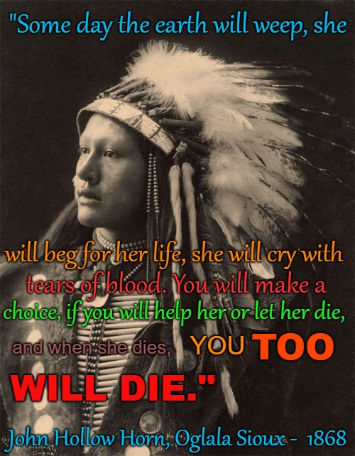 John Hollow Horn (Bear) Oglala Sioux 1868 (emphasis added) | "Some day the earth will weep, she; will beg for her life, she will cry with; tears of blood. You will make a; choice, if you will help her or let her die, and when she dies, TOO; YOU; WILL DIE."; John Hollow Horn, Oglala Sioux -  1868 | image tagged in native american,native americaans,indians,chief,indian chiefs,tribe | made w/ Imgflip meme maker