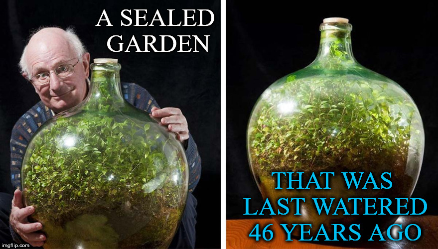 Self Contained | A SEALED GARDEN; THAT WAS LAST WATERED 46 YEARS AGO | image tagged in sealed garden,last,watered,46 years,ago | made w/ Imgflip meme maker