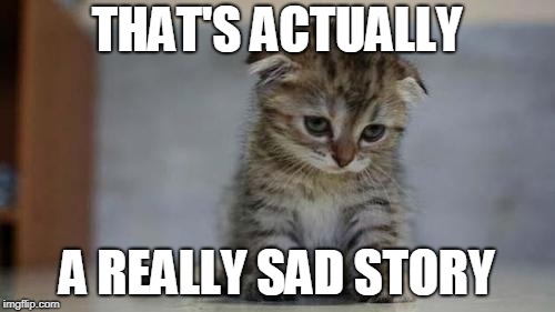 Sad kitten | THAT'S ACTUALLY A REALLY SAD STORY | image tagged in sad kitten | made w/ Imgflip meme maker