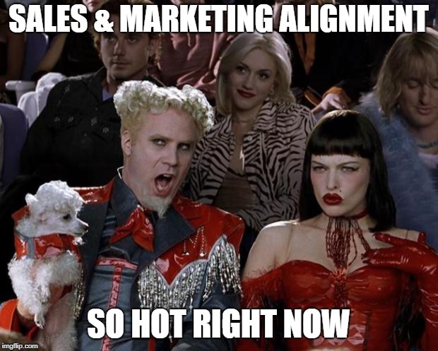 Mugatu So Hot Right Now Meme | SALES & MARKETING ALIGNMENT; SO HOT RIGHT NOW | image tagged in memes,mugatu so hot right now | made w/ Imgflip meme maker