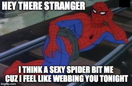 Sexy Railroad Spiderman Meme | HEY THERE STRANGER; I THINK A SEXY SPIDER BIT ME CUZ I FEEL LIKE WEBBING YOU TONIGHT | image tagged in memes,sexy railroad spiderman,spiderman | made w/ Imgflip meme maker