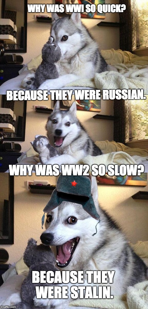 Bad Pun Dog | WHY WAS WWI SO QUICK? BECAUSE THEY WERE RUSSIAN. WHY WAS WW2 SO SLOW? BECAUSE THEY WERE STALIN. | image tagged in memes,bad pun dog | made w/ Imgflip meme maker