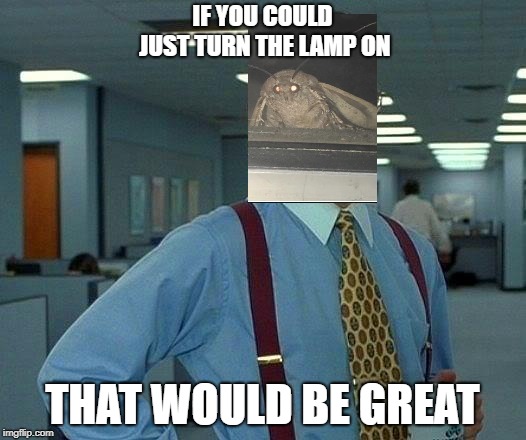 That Would Be Great | IF YOU COULD JUST TURN THE LAMP ON; THAT WOULD BE GREAT | image tagged in memes,that would be great | made w/ Imgflip meme maker