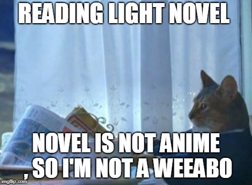 I Should Buy A Boat Cat | READING LIGHT NOVEL; NOVEL IS NOT ANIME , SO I'M NOT A WEEABO | image tagged in memes,i should buy a boat cat | made w/ Imgflip meme maker