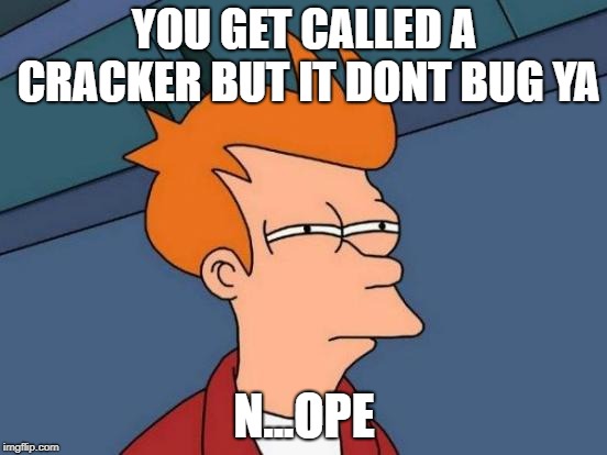 Futurama Fry |  YOU GET CALLED A CRACKER BUT IT DONT BUG YA; N...OPE | image tagged in memes,futurama fry | made w/ Imgflip meme maker