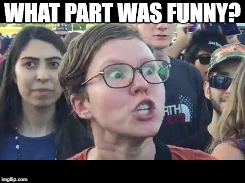 WHAT PART WAS FUNNY? | image tagged in angry sjw | made w/ Imgflip meme maker