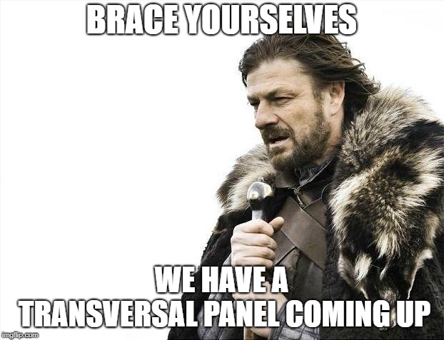 Brace Yourselves X is Coming | BRACE YOURSELVES; WE HAVE A TRANSVERSAL PANEL COMING UP | image tagged in memes,brace yourselves x is coming | made w/ Imgflip meme maker