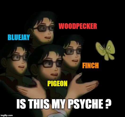 The possibilities... | WOODPECKER; BLUEJAY; FINCH; PIGEON | image tagged in is this a pigeon,birds,butterfly,curiosity,who are you,confusion | made w/ Imgflip meme maker