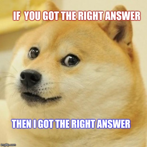 Doge Meme | IF  YOU GOT THE RIGHT ANSWER; THEN I GOT THE RIGHT ANSWER | image tagged in memes,doge | made w/ Imgflip meme maker