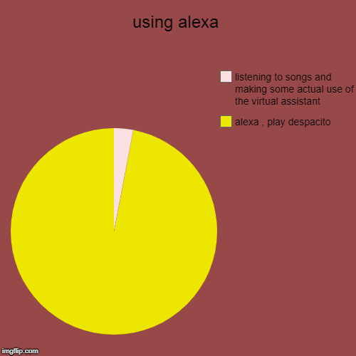 using alexa | alexa , play despacito , listening to songs and making some actual use of the virtual assistant | image tagged in funny,pie charts | made w/ Imgflip chart maker