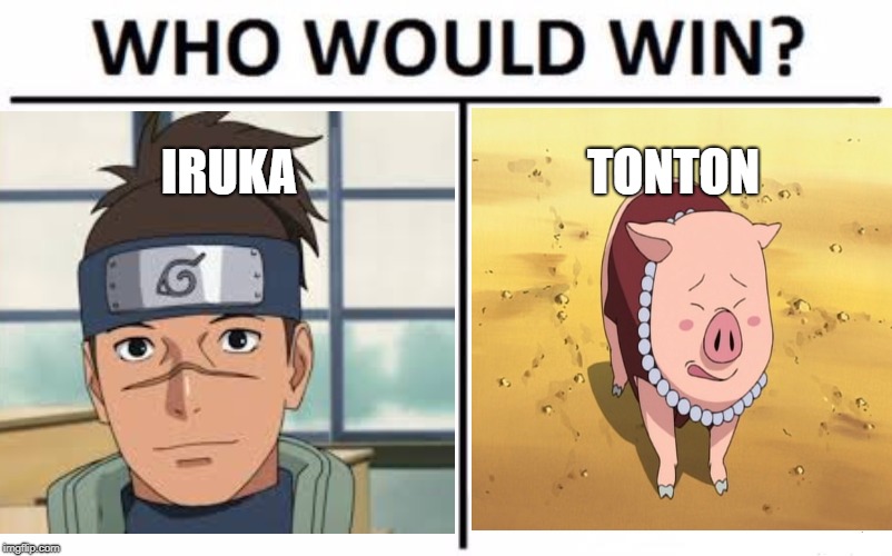 who would win | IRUKA; TONTON | image tagged in naruto | made w/ Imgflip meme maker