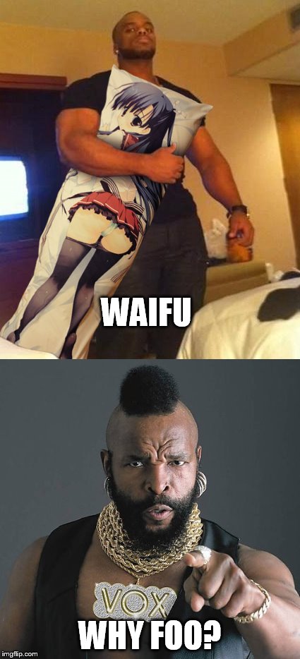 why foo | WAIFU; WHY FOO? | image tagged in mr t pity the fool,waifu | made w/ Imgflip meme maker