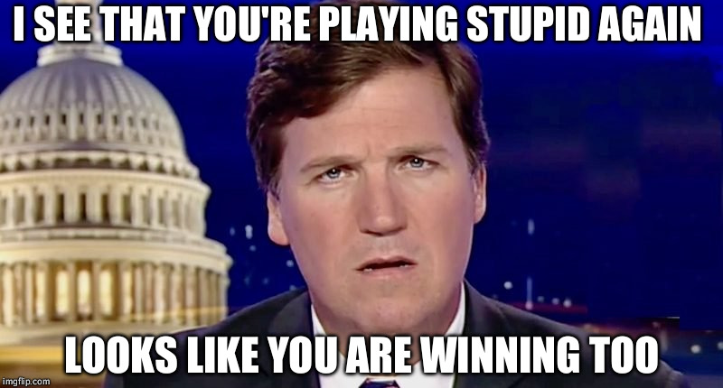 Stupid again  | I SEE THAT YOU'RE PLAYING STUPID AGAIN; LOOKS LIKE YOU ARE WINNING TOO | image tagged in stupid | made w/ Imgflip meme maker