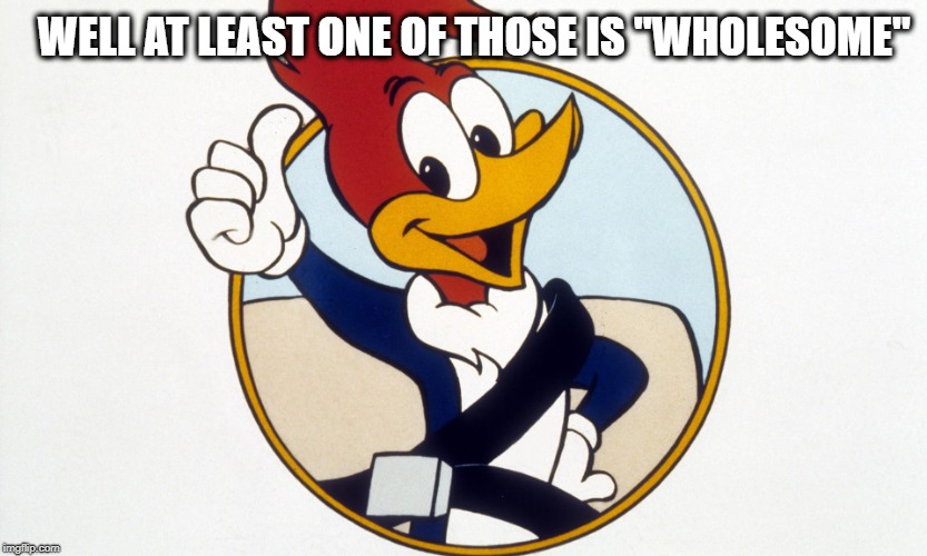 Woody Woodpecker | WELL AT LEAST ONE OF THOSE IS "WHOLESOME" | image tagged in woody woodpecker | made w/ Imgflip meme maker