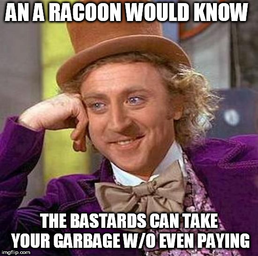 Creepy Condescending Wonka Meme | AN A RACOON WOULD KNOW THE BASTARDS CAN TAKE YOUR GARBAGE W/O EVEN PAYING | image tagged in memes,creepy condescending wonka | made w/ Imgflip meme maker