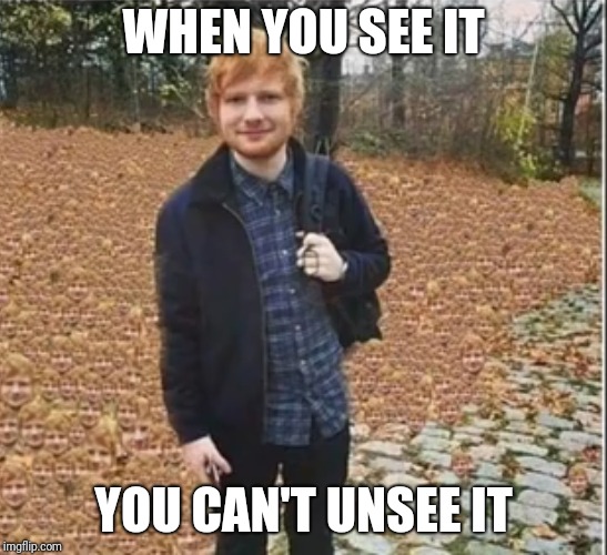 I thought it was a normal photo at first | WHEN YOU SEE IT; YOU CAN'T UNSEE IT | image tagged in memes,funny,funny memes,funny meme,ed sheeran | made w/ Imgflip meme maker